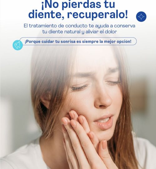 WhatsApp Image 2025-12-05 at 11.11.56